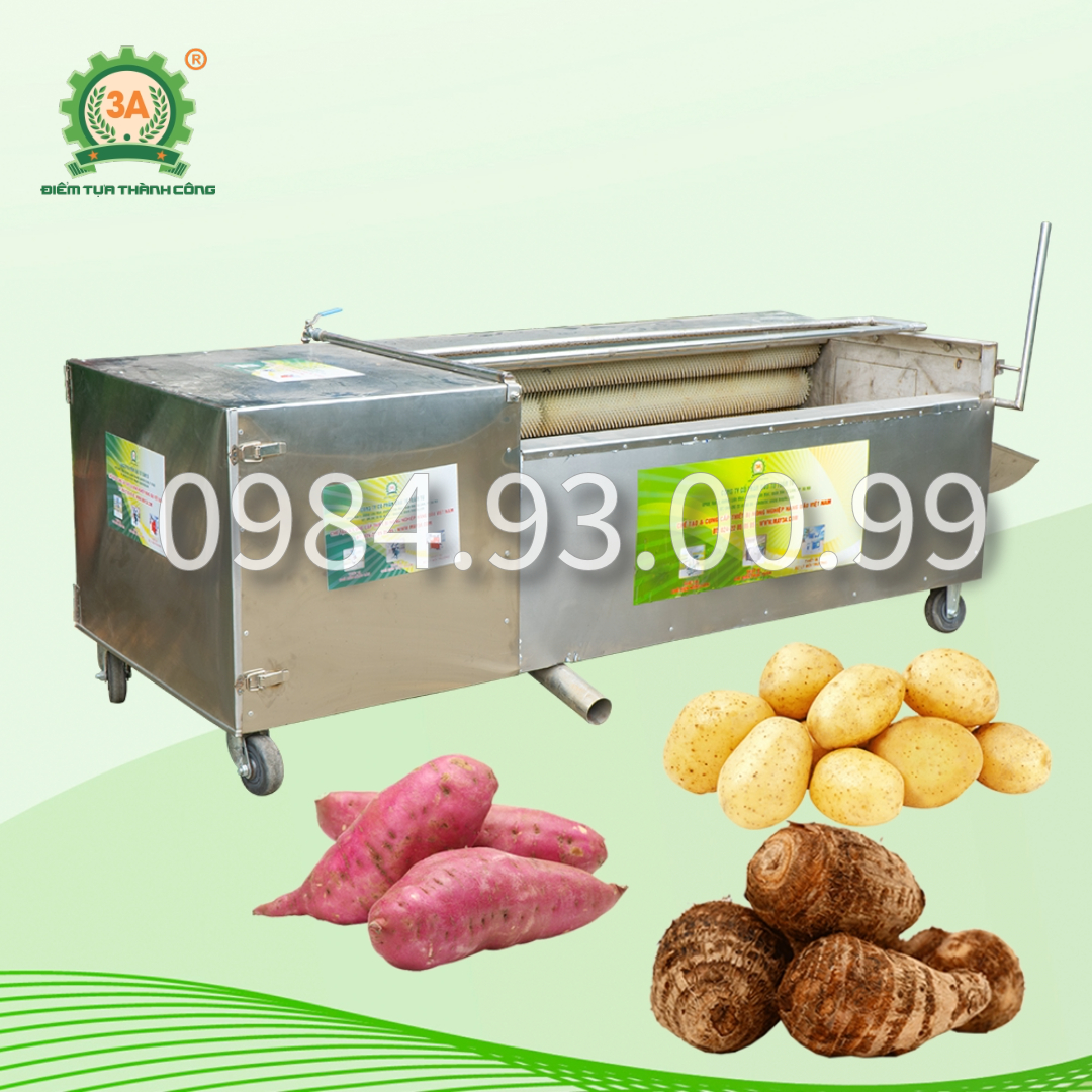 Máy rửa củ quả 3A3KW