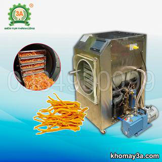 Máy sấy thăng hoa đông trùng hạ thảo 3A
