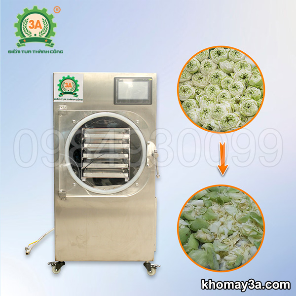 Máy sấy thăng hoa hoa trà