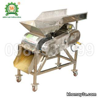 Máy xay nghệ tươi inox