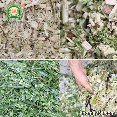 Máy băm cỏ cho trâu bò Máy băm cỏ cho trâu bò