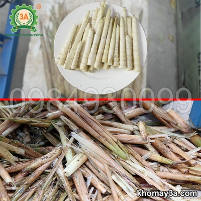 Máy bóc vỏ măng sặt 3A0,75Kw