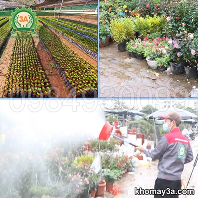 Máy bơm phun sương tưới cây 3A1,5Kw Máy bơm phun sương tưới cây 3A1,5Kw