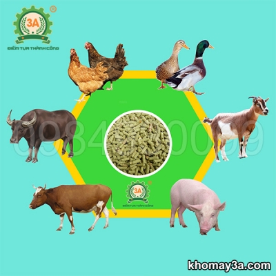 Máy ép cám viên trục đứng đa năng 3A7,5Kw