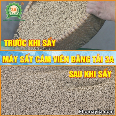 Máy sấy cám công nghiệp có băng tải 3A