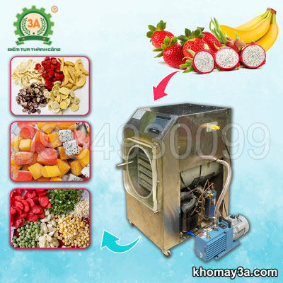 Máy sấy đông trùng hạ thảo