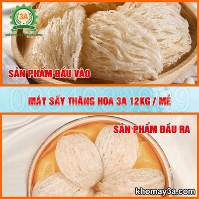 Máy sấy thăng hoa tổ yến 3A 12Kg/mẻ