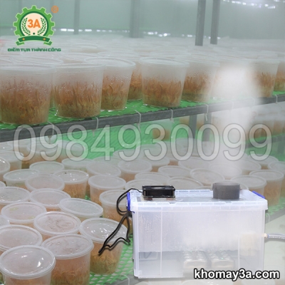 Máy tạo ẩm phòng nuôi trồng đông trùng hạ thảo 3A510W