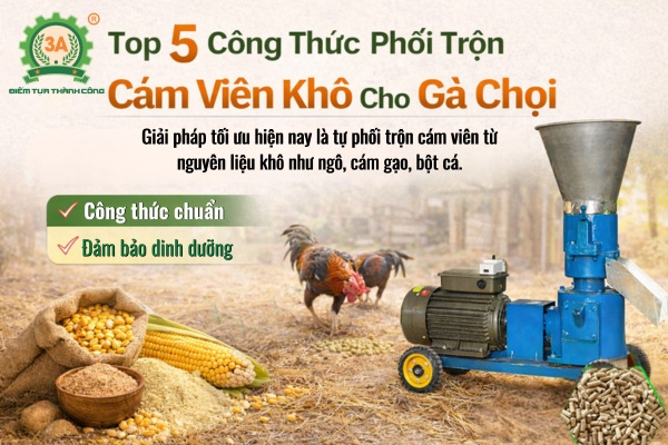 Máy ép cám viên khô: 5 công thức cám cho gà chọi hiệu quả