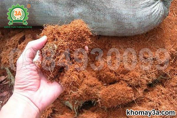 Biến xơ dừa bỏ đi thành vật liệu giá trị cao cho trồng nấm, ươm cây