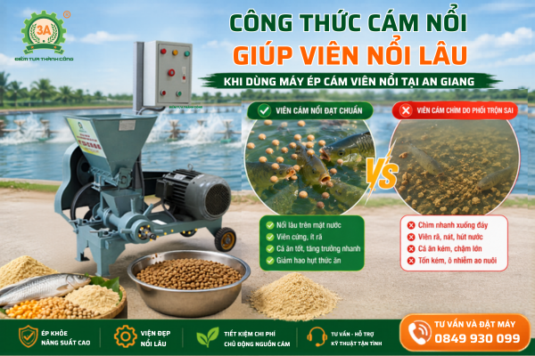 Công thức cám nổi giúp viên nổi lâu khi dùng máy ép cám viên nổi tại An Giang