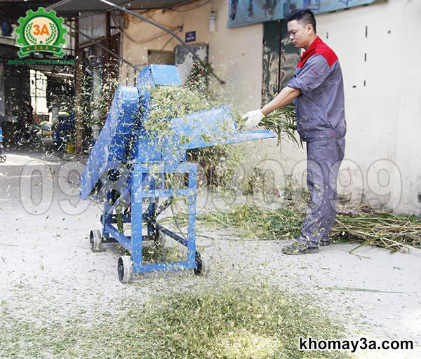 Bí quyết tăng 15-20% hiệu quả hấp thu cho bò nhờ máy băm cỏ cho bò đúng chuẩn
