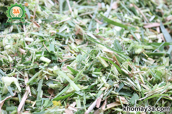 So sánh máy băm cỏ voi 3A với các dòng máy băm trên thị trường
