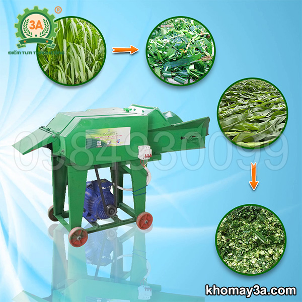 Hướng dẫn chọn máy băm cỏ voi cho hộ chăn nuôi nhỏ – Tiết kiệm và hiệu quả
