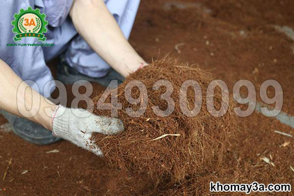 Tại sao máy xay xơ dừa lại mang lại lợi ích kép cho cả trồng cây và chăn nuôi?