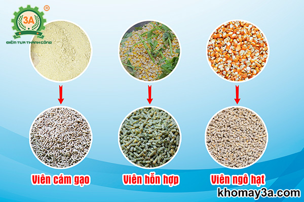 Máy ép cám viên loại nào tốt? So sánh máy gia đình & công nghiệp chi tiết A–Z