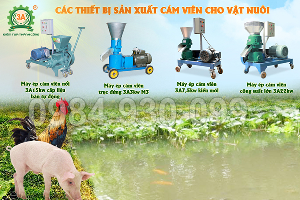 Vì sao máy ép cám viên trở thành thiết bị không thể thiếu trong trại chăn nuôi?