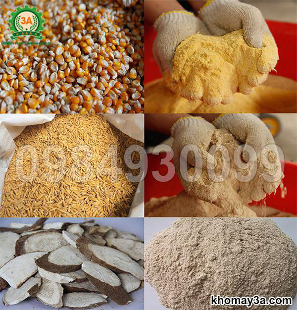 Làm sao để máy nghiền ngô ra độ mịn phù hợp nhất cho gà, lợn, bò?