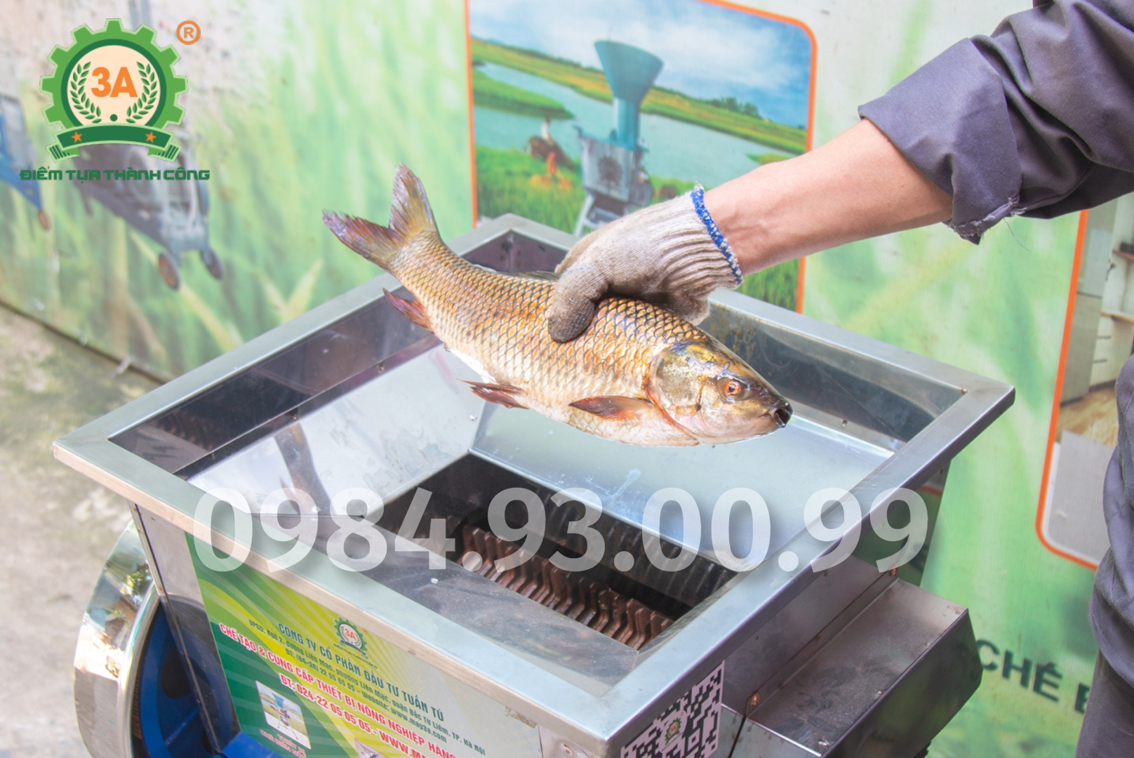 Kết hợp thái cá với phối trộn thức ăn: quy trình tiết kiệm công lao động.