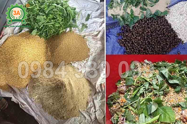 Máy trộn thức ăn chăn nuôi: Tối ưu công đoạn phối trộn cho hộ chăn nuôi vừa và nhỏ