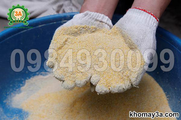 Tại sao ngô nghiền mịn giúp tăng tỷ lệ tiêu hóa của vật nuôi?