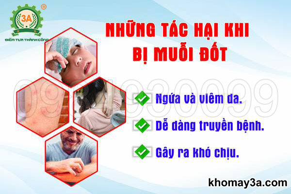 Đèn bắt muỗi thông minh 3A8W 