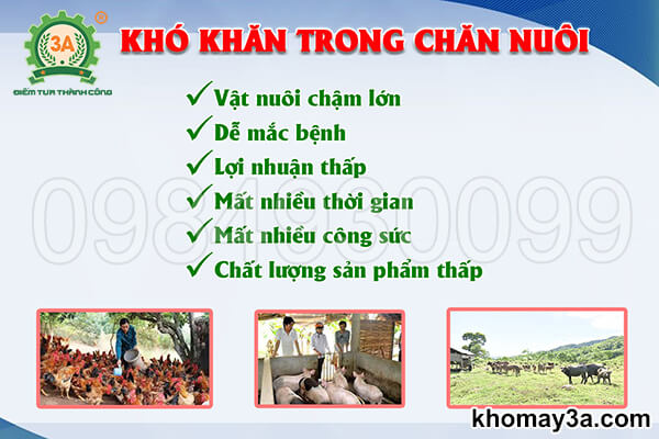 Men vi sinh ủ thức ăn chăn nuôi 3A (07)