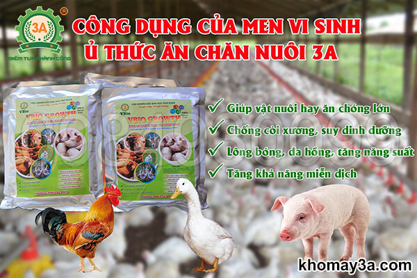 Men vi sinh ủ thức ăn chăn nuôi 3A (08)