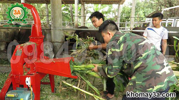 Cho nguyên liệu vào máy