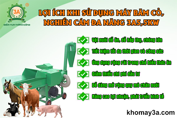 Lợi ích khi sử dụng máy băm cỏ, nghiền cám đa năng 3A5,5Kw