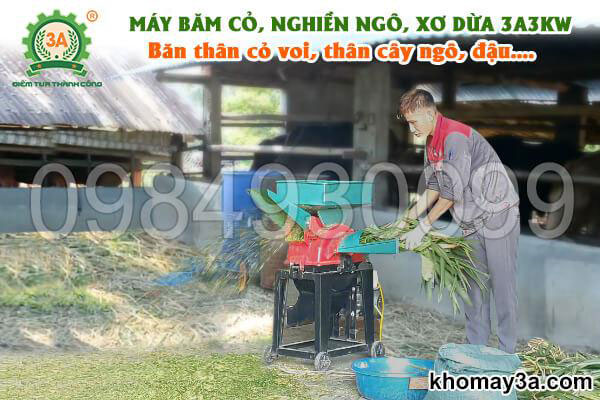 tính năng băm nhỏ Máy băm cỏ, nghiền ngô, xơ dừa 3A3kW