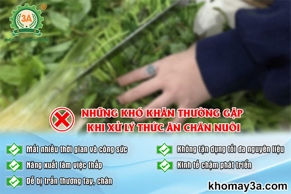 Những khó khăn thường gặp phải trong chăn nuôi hiện nay của bà con nông dân