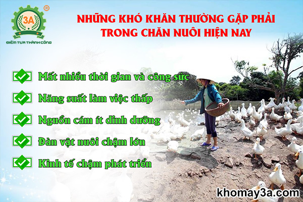 Những khó khăn gặp phải trong chăn nuôi hiện nay