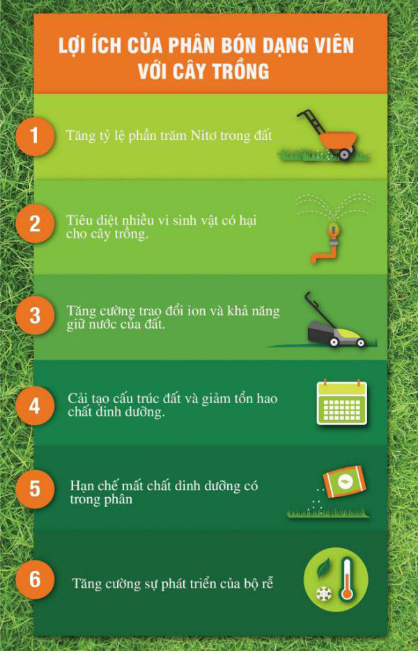 lợi ích sử dung phân bón viên