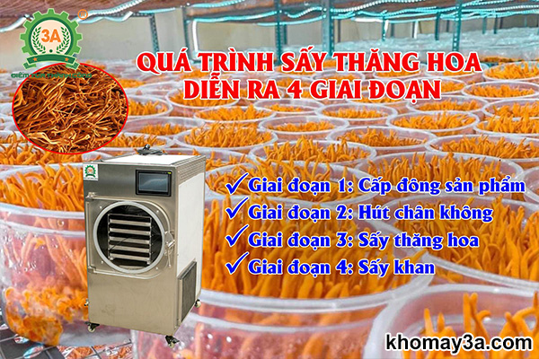 Máy sấy thăng hoa mini 3A hoạt động như thế nào?