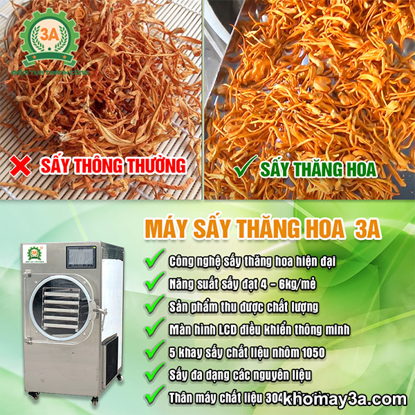 Máy sấy thăng hoa đông trùng hạ thảo