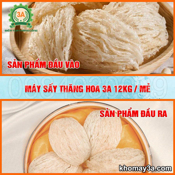 Máy sấy tổ yến thăng hoa 3A 12Kg/mẻ