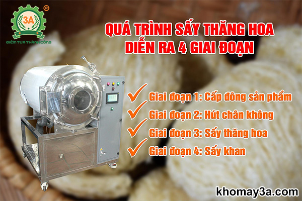 Quá trình sấy thăng hoa diễn ra như thế nào?