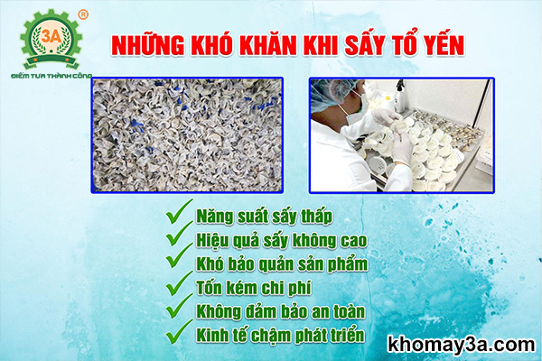 Những khó khăn thường gặp phải trong quá trình sấy xử lý nguyên liệu tại các cơ sở kinh doanh tổ yến