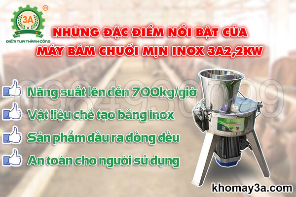 Máy băm chuối mịn inox 3A2,2Kw (06)