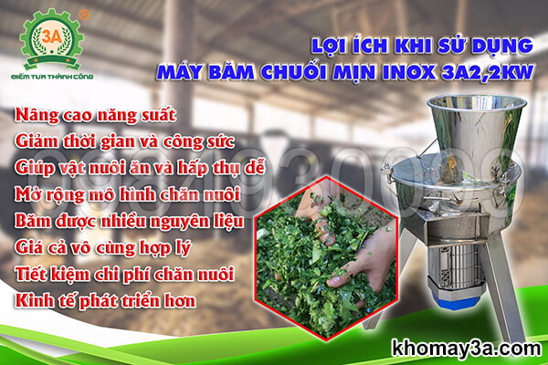 Máy băm chuối mịn inox 3A2,2Kw (14)