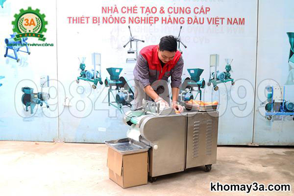 Máy thái rau củ quả có băng tải 3A1,5Kw