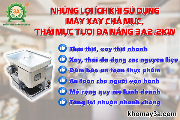 Những lợi ích khi sử dụng Máy xay chả mực, thái mực tươi đa năng 3A2,2kw