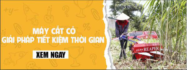 Máy thu hoạch cỏ