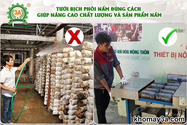 Lý do nên đầu đầu tư chiếc máy tiêm bịch phôi nấm 3A2,2kW