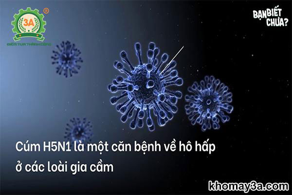 h5n1 ở việt nam