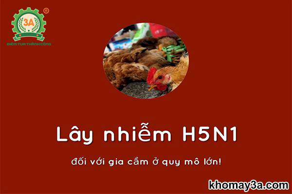 h5n1 có lây từ người sang người không