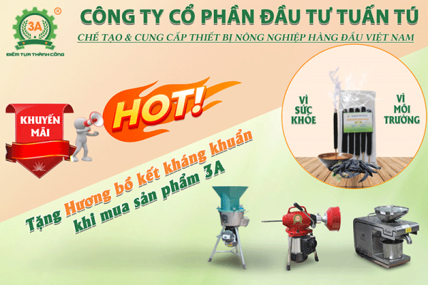 Hương bồ kết kháng khuẩn