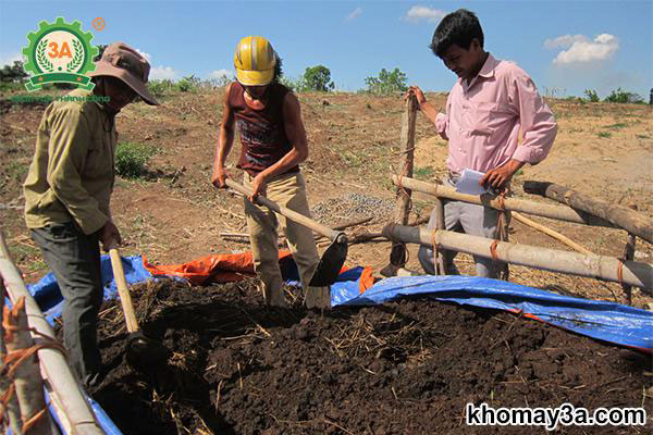 kỹ thuật trồng cây mãng cầu xiêm