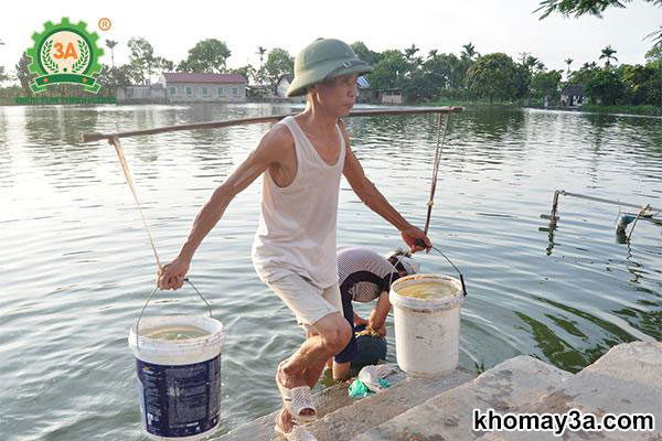 tết nguyên đán việt nam